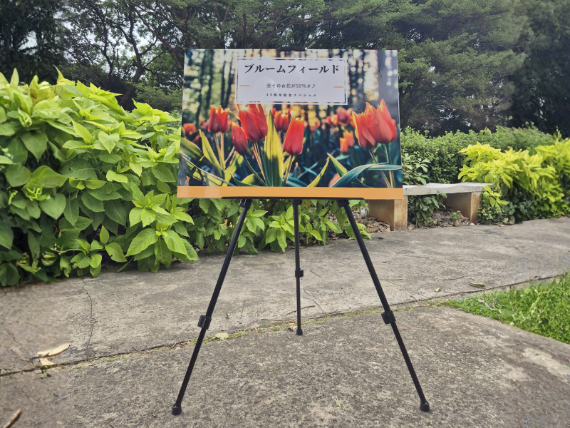 Giá vẽ tranh 3 chân: 5 ưu điểm đáng mua 2026