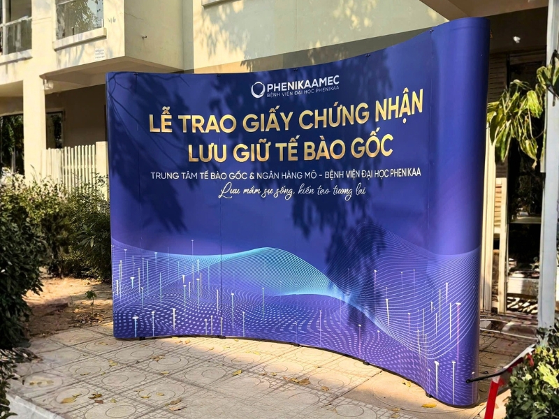 Giá backdrop mạng nhện 2026: 4 lưu ý khi đặt mua