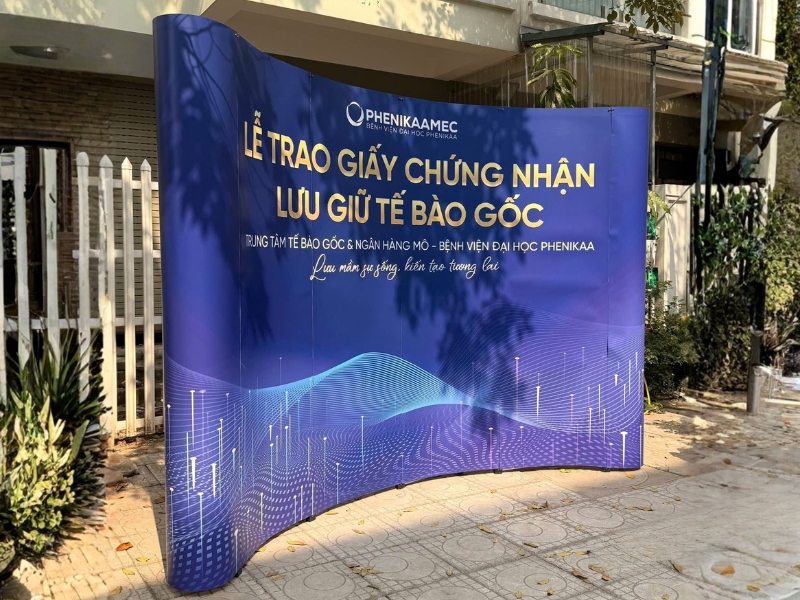 Giá backdrop mạng nhện 2026: 4 lưu ý khi đặt mua
