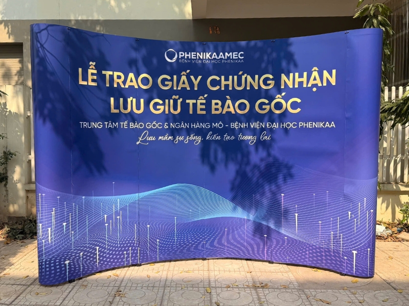 Giá backdrop mạng nhện 2026: 4 lưu ý khi đặt mua